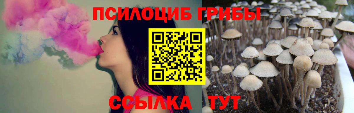 Самара  Псилоцибиновые грибы GOLDEN TEACHER  Вход с VPN 
